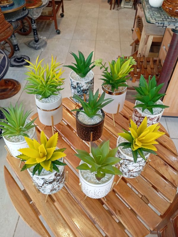 Mini Planter with metal stand different colors