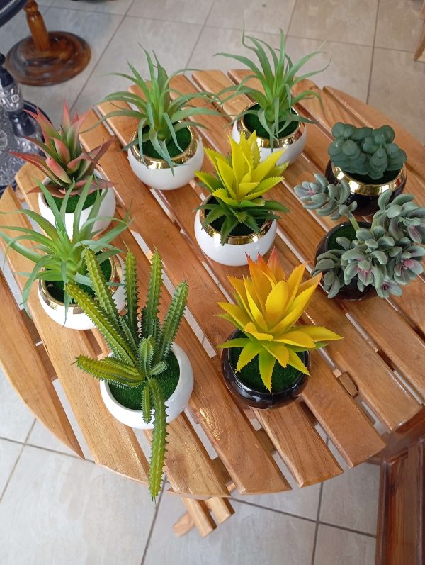 Mini Planters with Different designs - Image 2