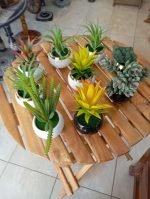 Buy mini planters Best price in pakistan