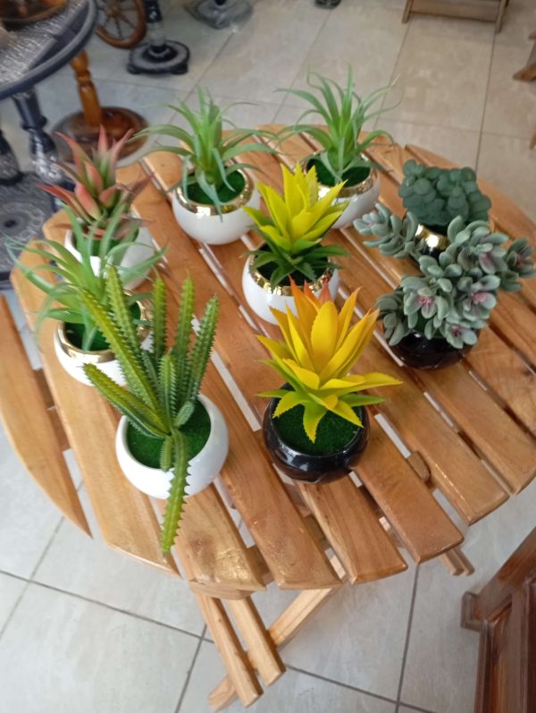 Buy mini planters Best price in pakistan